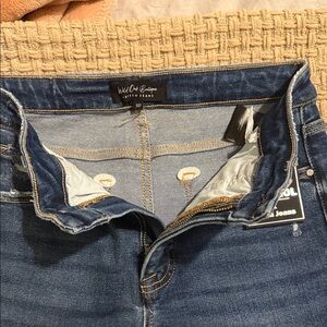 Wild Oak Women's High Rise Blue Jeans